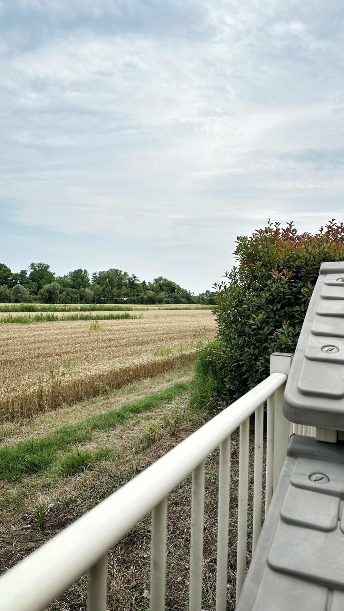 Apartamento Parisi Bnb - Venezia Aeroporto Marco Polo Tessera Exterior foto